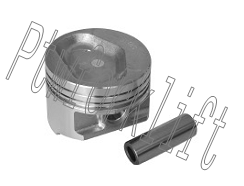 P01-011.gif