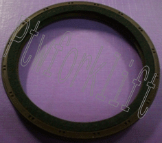 SO01-015.gif