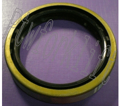 SO01-016.gif