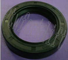 SO01-028.gif