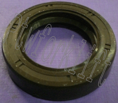 SO01-029.gif